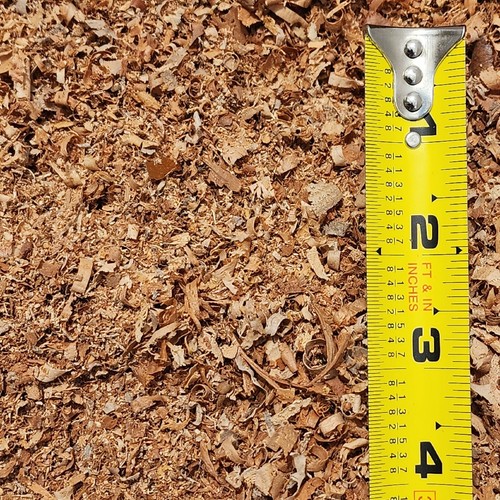 Mesquite wood shavings - mesquite, chips